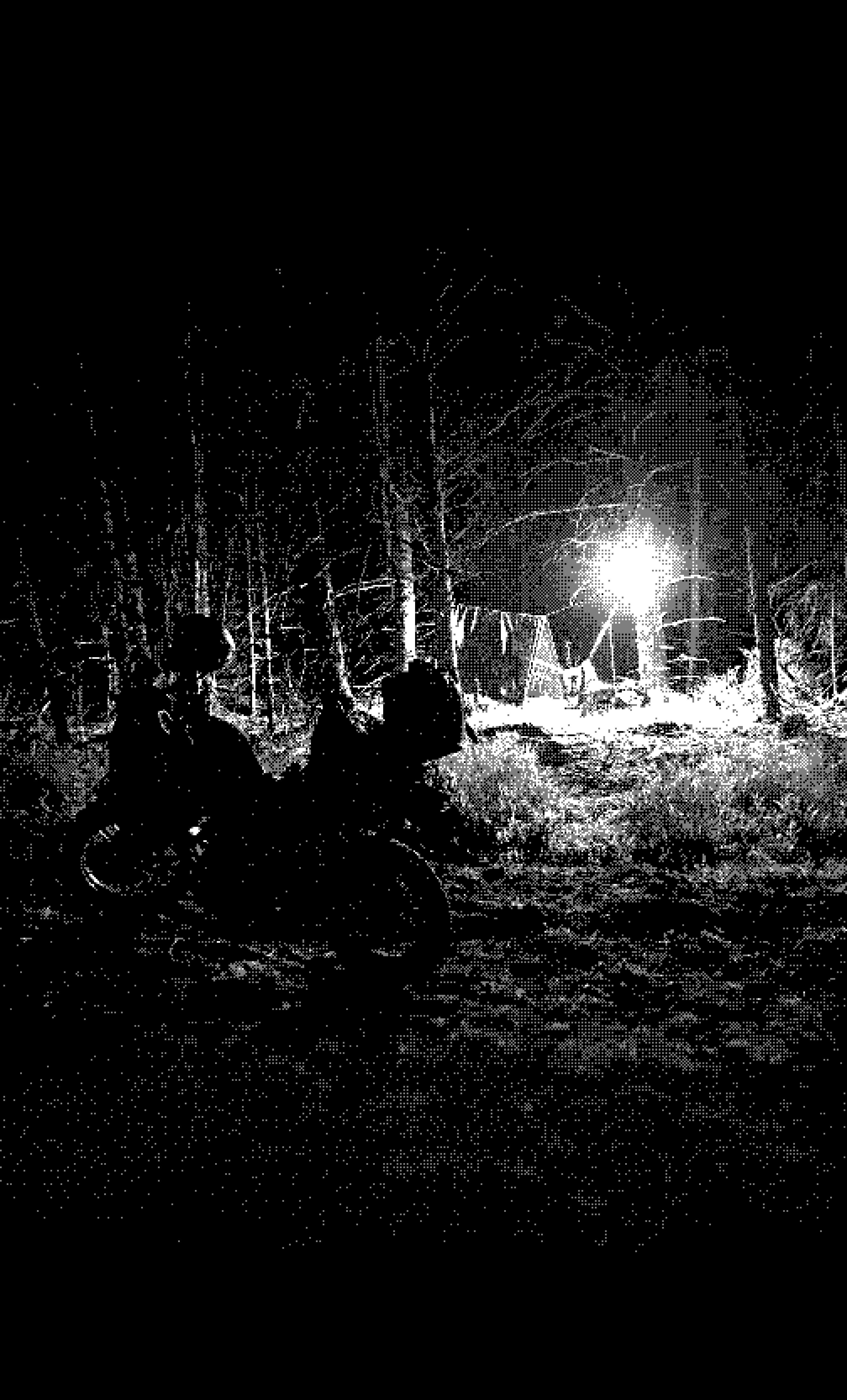 Screenshot - 2025-10-05 15:26:13 - test-upload.jpg